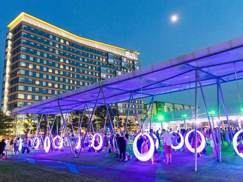 樱花树网红旋转秋千